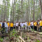 Bersama Otorita IKN serta berbagai mitra pembangunan kawasan Nusantara, Hermina Hospitals Group memperingati HUT ke-41 nya melalui penanaman pohon di MHHT IKN, pada Rabu (22/04/2026).