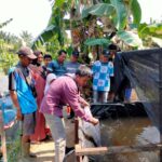 fe1ba4be-ab39-4d37-ab85-52033f2e1975