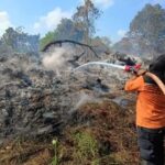 Petugas BPBD PPU melakukan pemadaman dan pendinginan sisa Kebakaran hutan dan lahan (Karhutla) di RT 03, Kelurahan Sepan, Kecamatan Penajam. (Doc.ist)