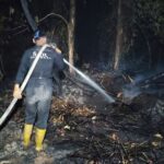 Petugas di lapangan berupaya memadamkan dan melakukan pendinginan di jumlah titik api. (doc.ist)